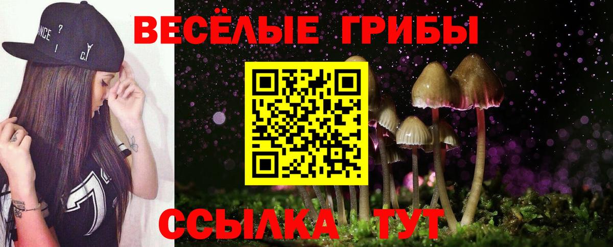 Галлюциногенные грибы Psilocybine cubensis  Вход с VPN  Кандалакша 